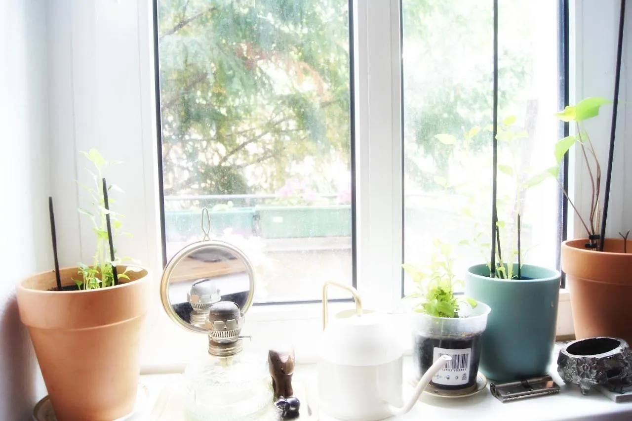 Guest house Minimal Room In A Family Home Berlin